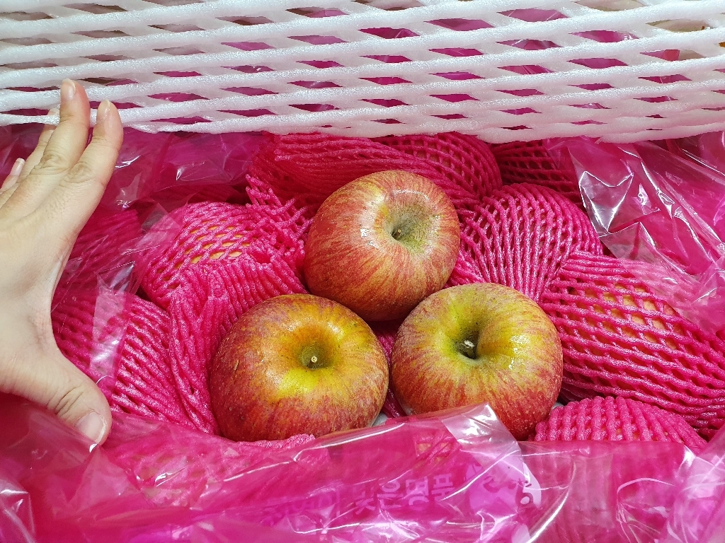 [산지직송] 송아농장 밀양얼음골사과 A인증 /