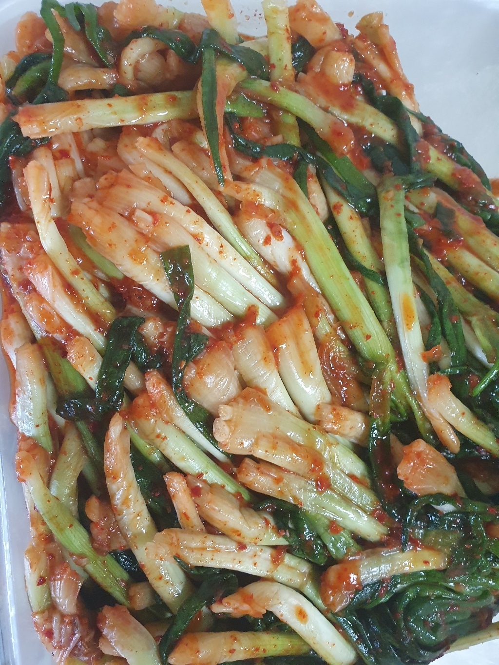 종가집 파김치