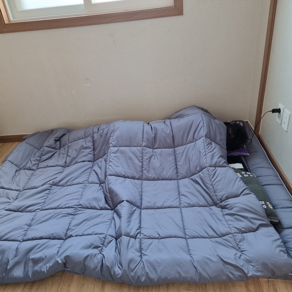 아토앤알로 쉐이프 항균 베개커버