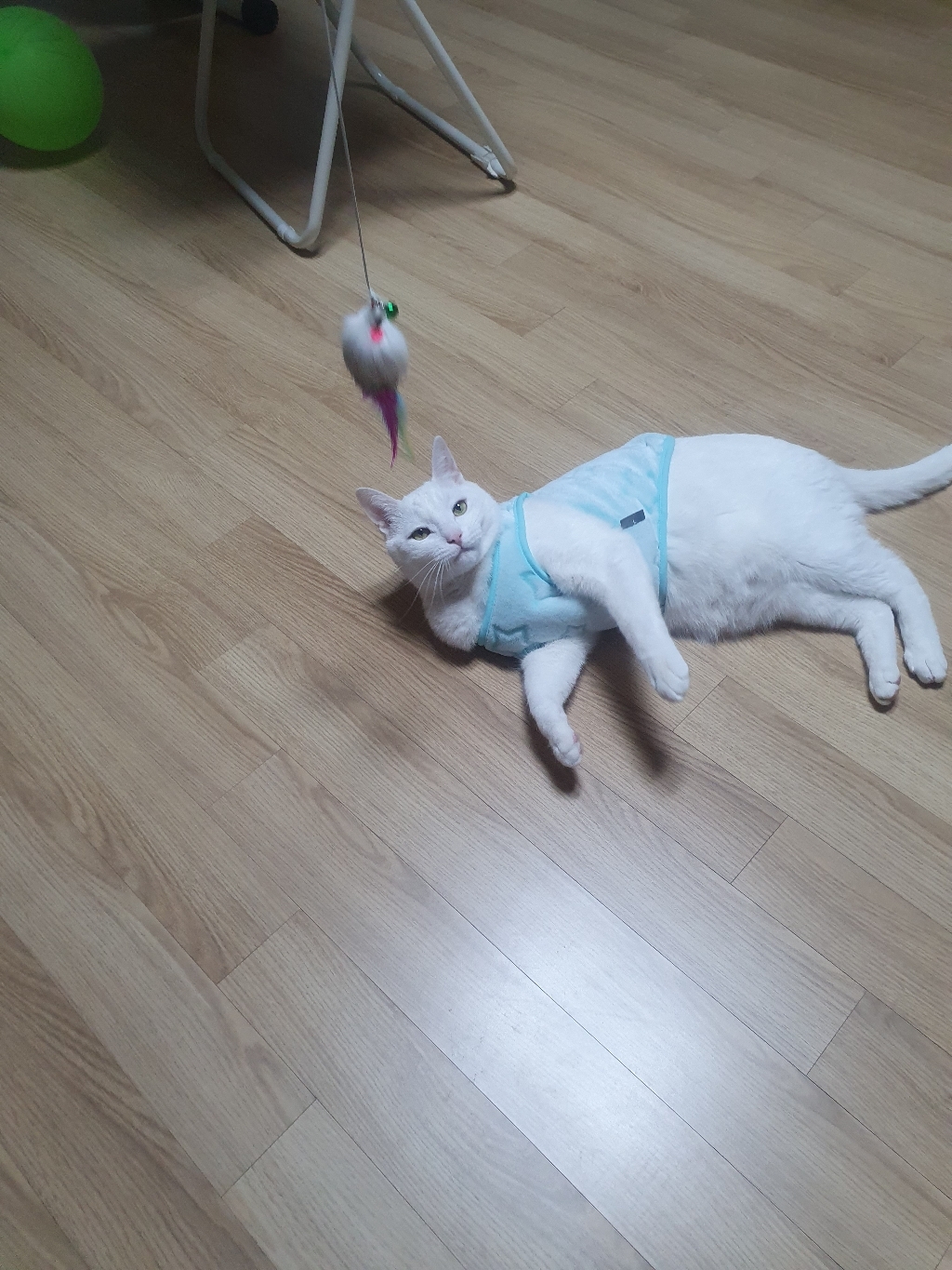 도그아이 강아지옷 별수면조끼