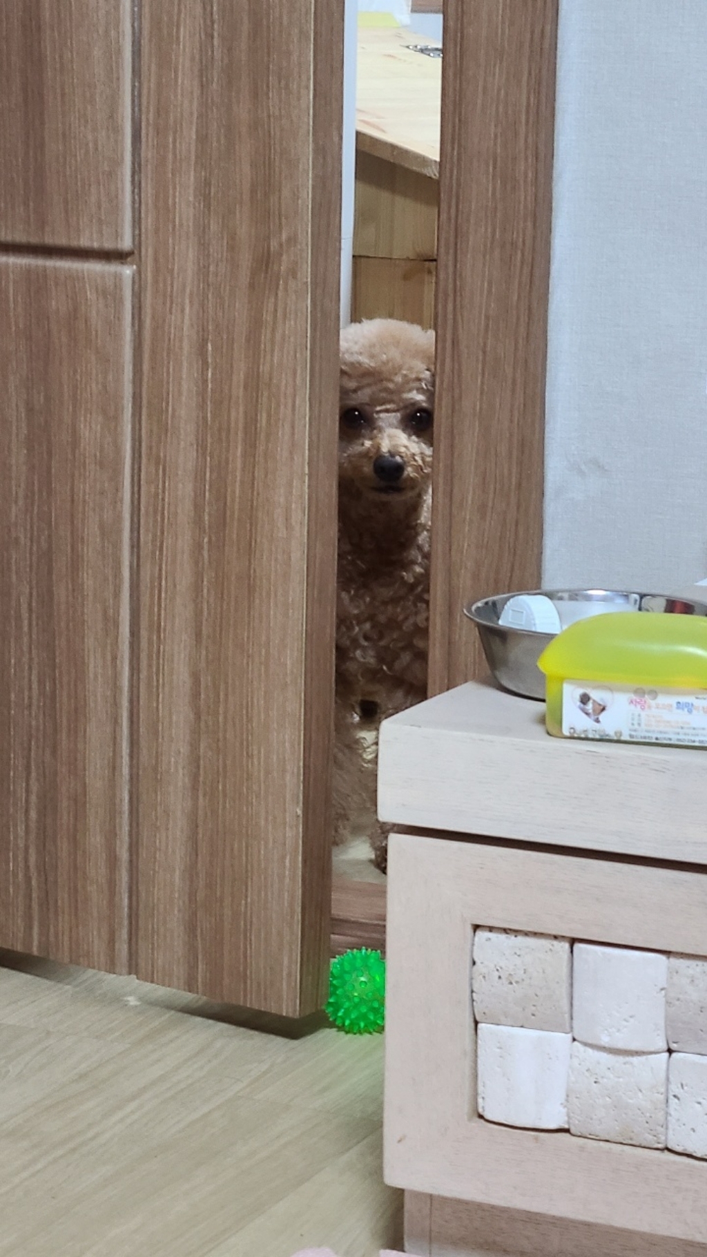 오리젠 강아지 전연령 피트앤트림 건식사료