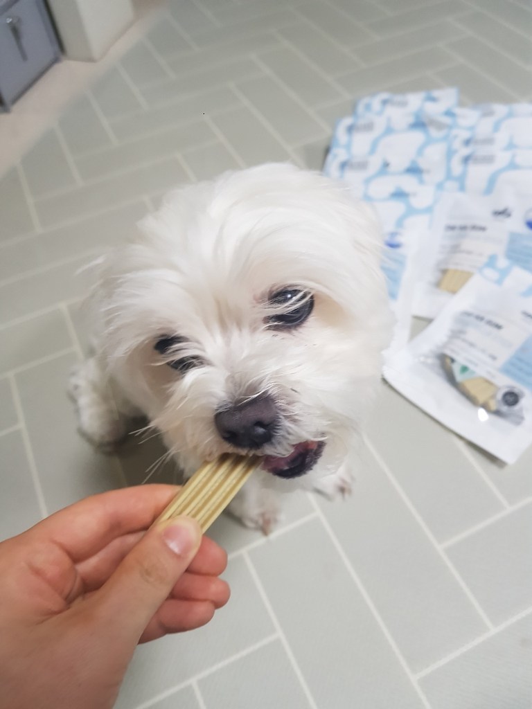 꼬뜨 치카껌 클로렐라 관절 건강 스틱   간식 3종