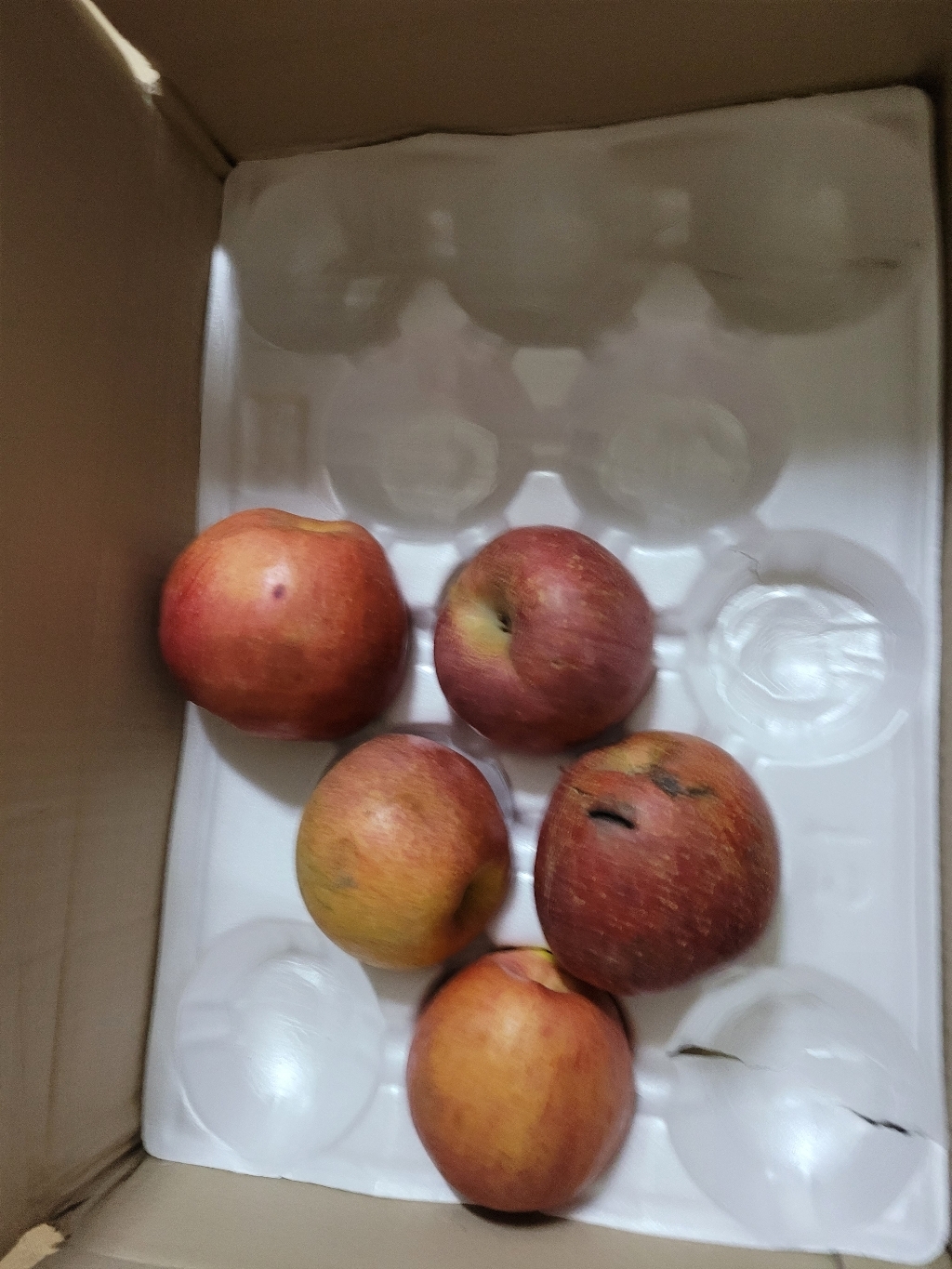 [수창이네:마켓] 갓 수확해서 더 맛있는 22년 햇 부사사과 가정용 흠집사과