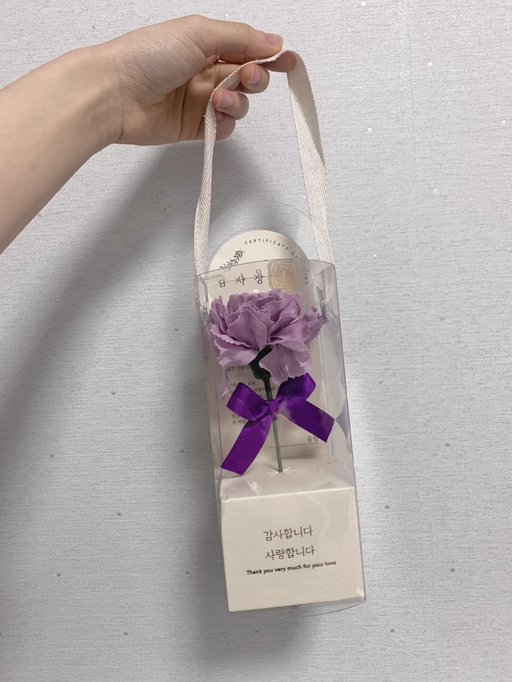 뷰티풀데코센스 한 송이 감사장 카네이션 2종