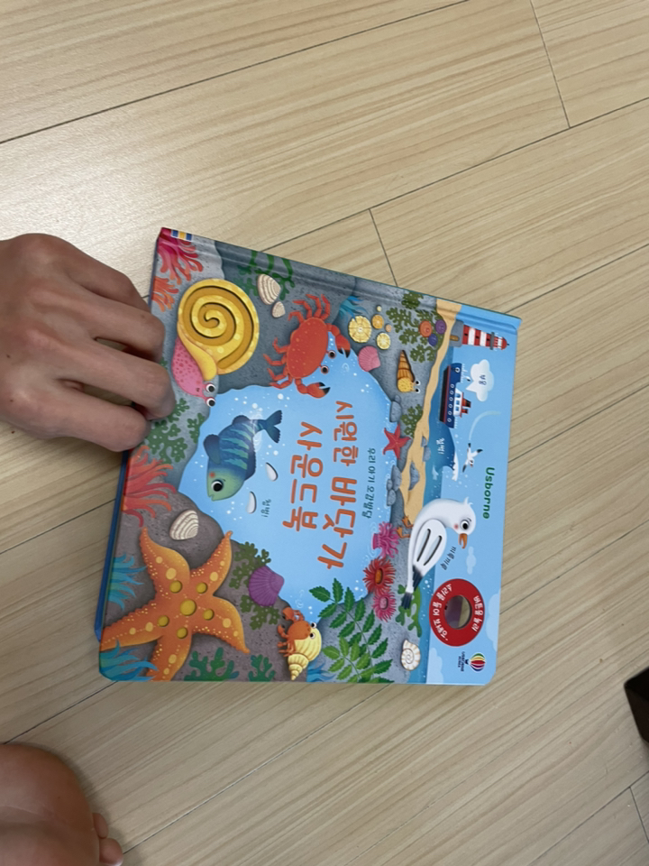 Usborne 우리 아기 오감발달 시원한 바닷가 사운드북
