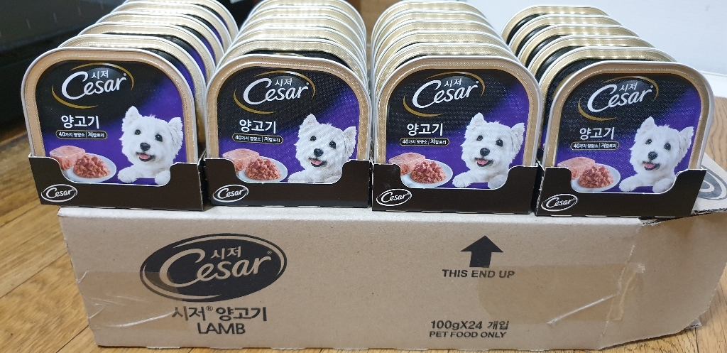 시저 반려견 주식캔