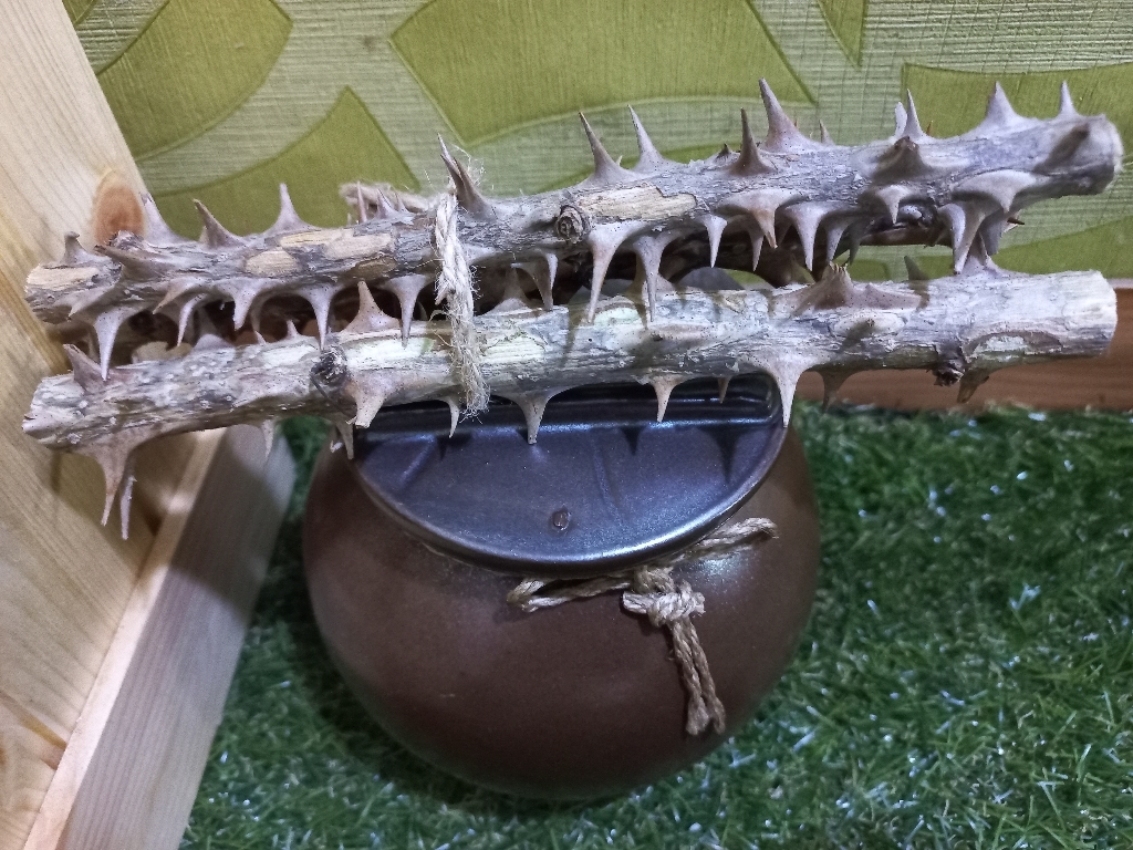 친집선 현관 풍수 미니 소금 단지 항아리 빨간 복주머니 액운 쫓는 엄나무
