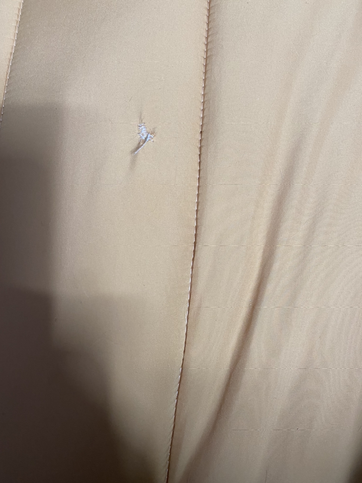 반려동물과 함께 쓰는 털 먼지 안붙는 알러지케어 나란히 사계절 차렵이불 SS