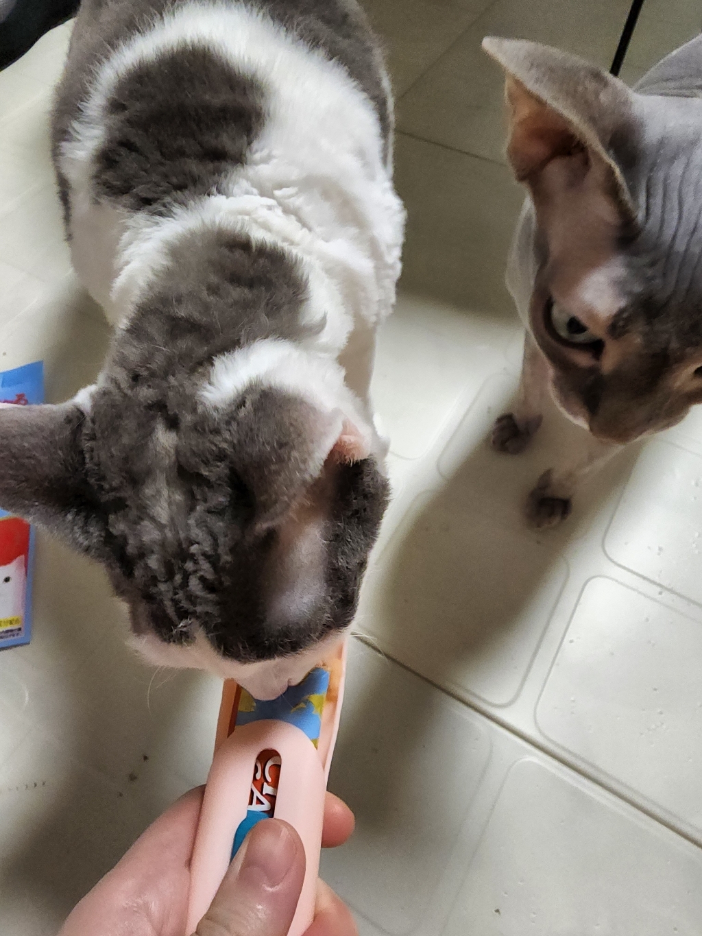 리스펫 고양이 츄르 스쿠퍼 2종 리뷰 후기