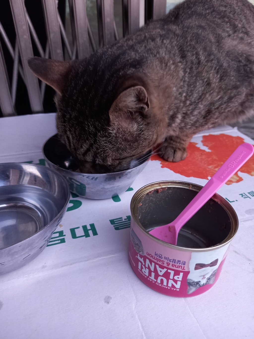 동원 뉴트리플랜 고양이 간식캔 리뷰후기
