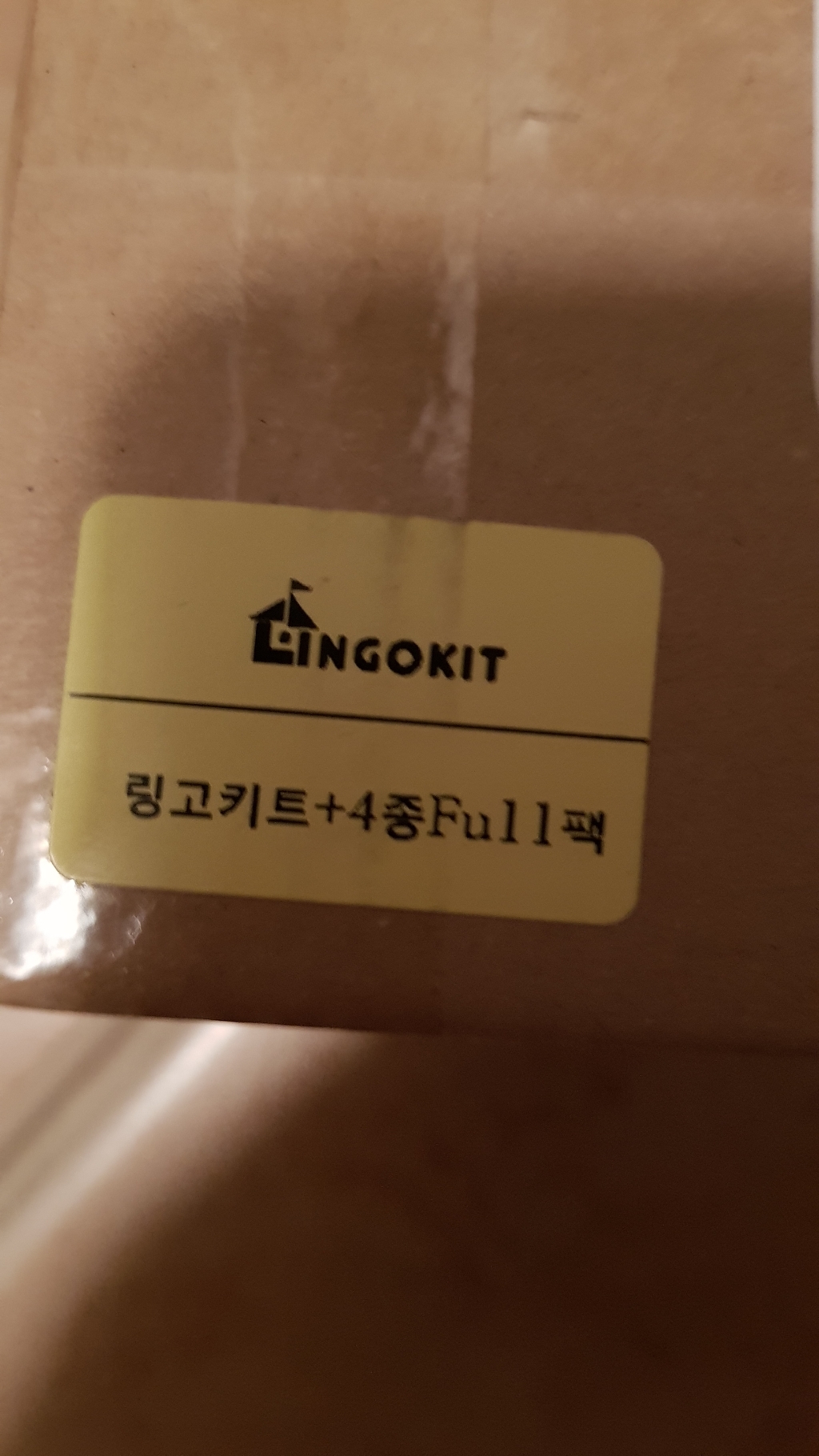 링고키트 말하는 낱말카드 학습기 영어 원어민 음성 지원종 언어 224단어