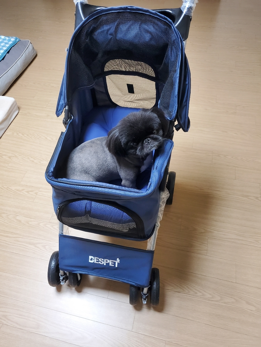 베스펫 디럭스 반려동물 유모차 강아지 고양이 애견 개모차