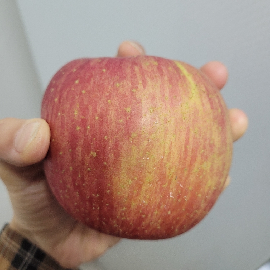 델몬트 고당도 사과