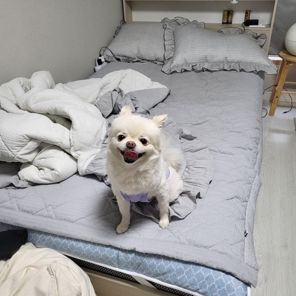 지베딩 시크릿 뱀부 여름 베개커버