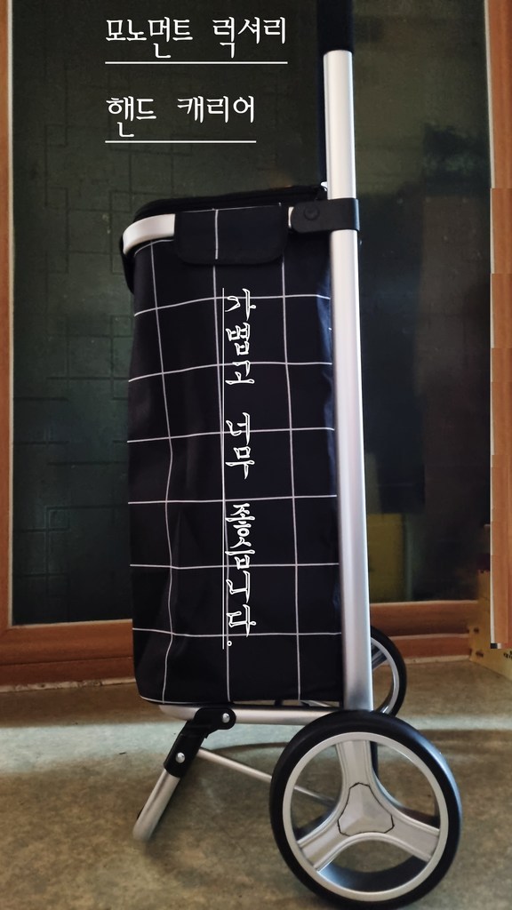 모노먼트 럭셔리 핸드캐리어