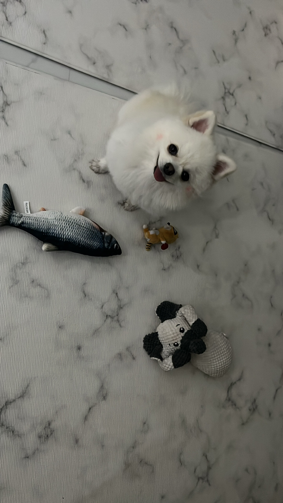 딩동펫 고양이 움직이는 물고기 파닥피쉬 자동장난감
