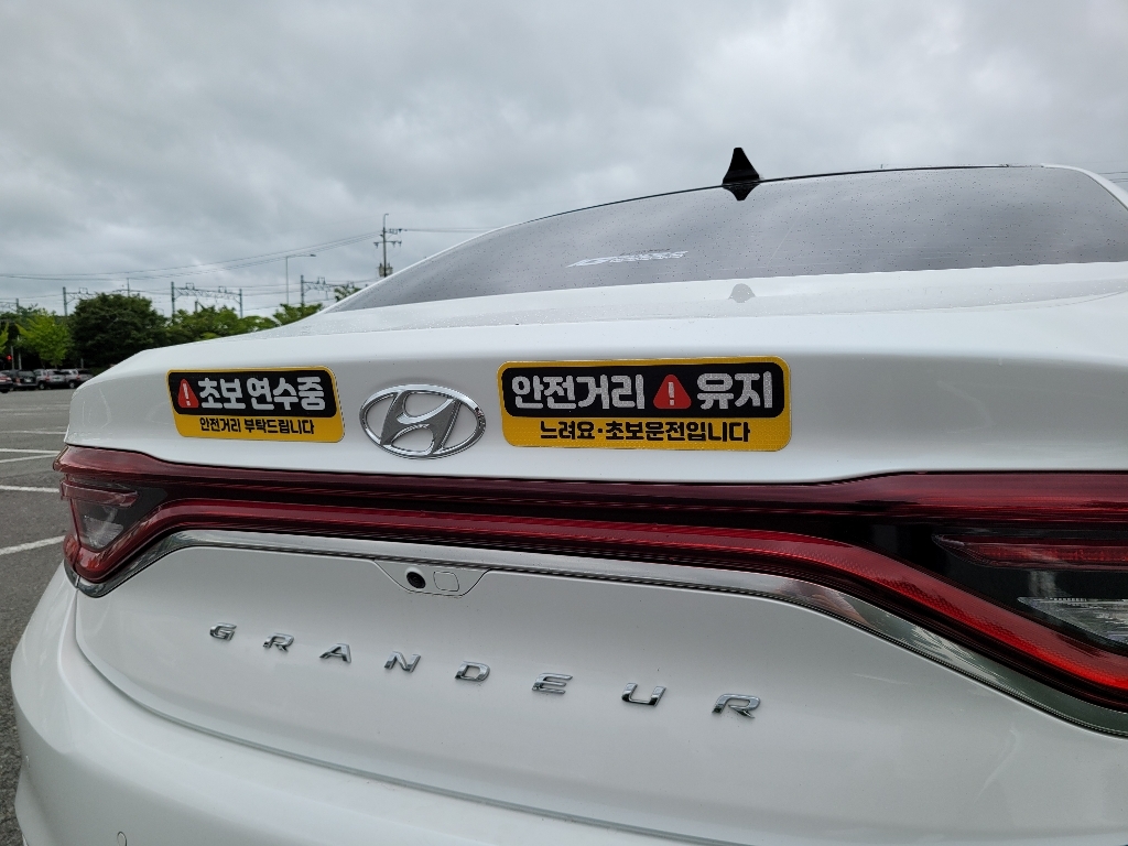 제제데코 초보운전 자동차 탈부착 자석 고휘도 반사 스티커 시트지 미디엄 E230 EC036 EC045
