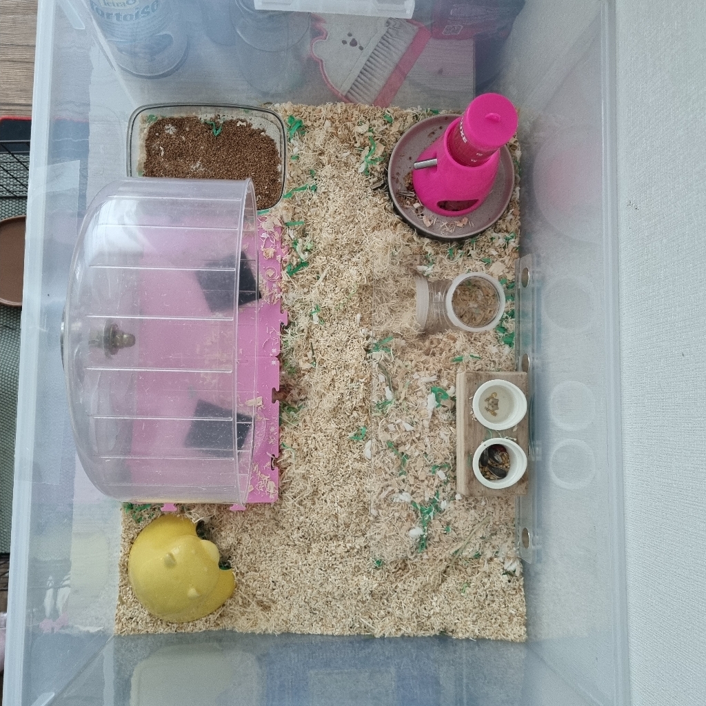 햄스터 자석 데크