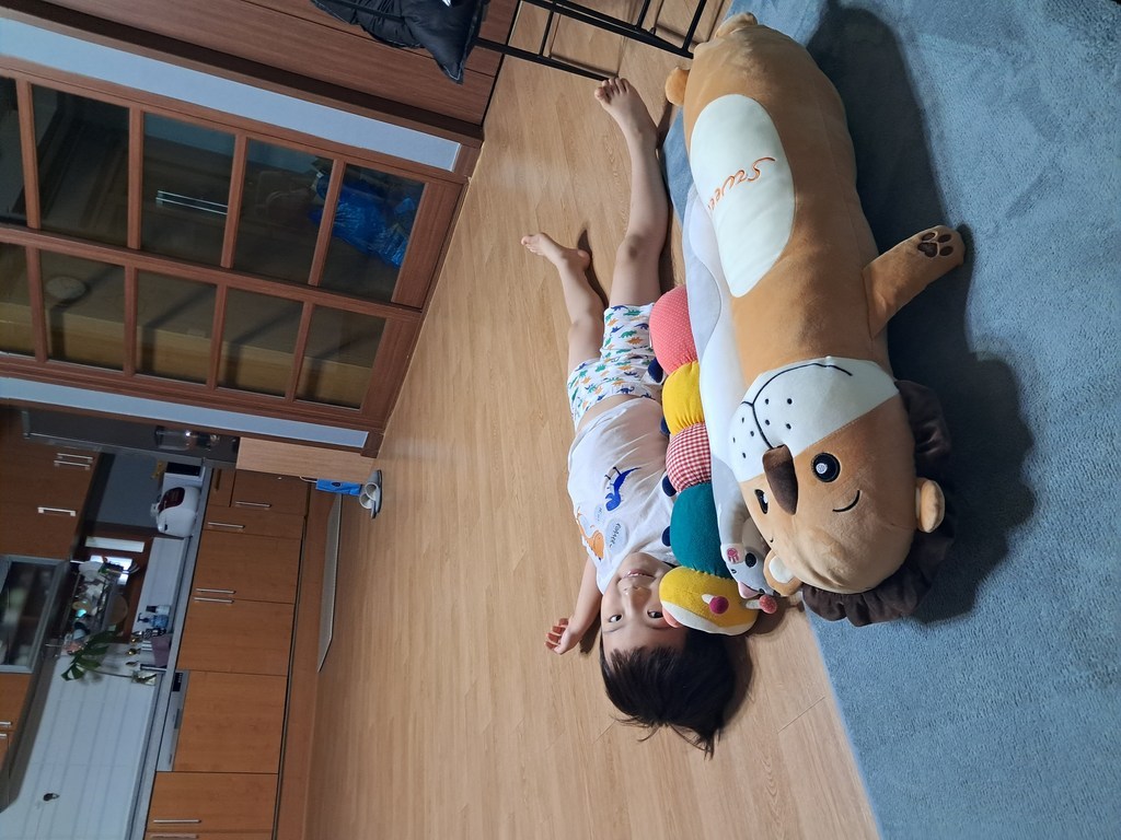 네이처타임즈 안고자는 동물 인형