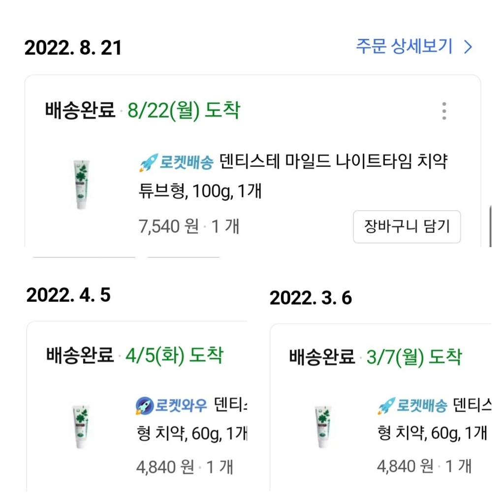 덴티스테 마일드 나이트타임 튜브형 치약