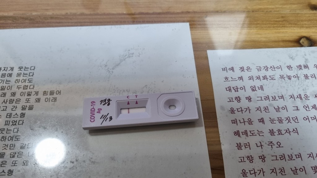 에스디바이오센서 STANDARD Q COVID 19 A HOE Test 무색