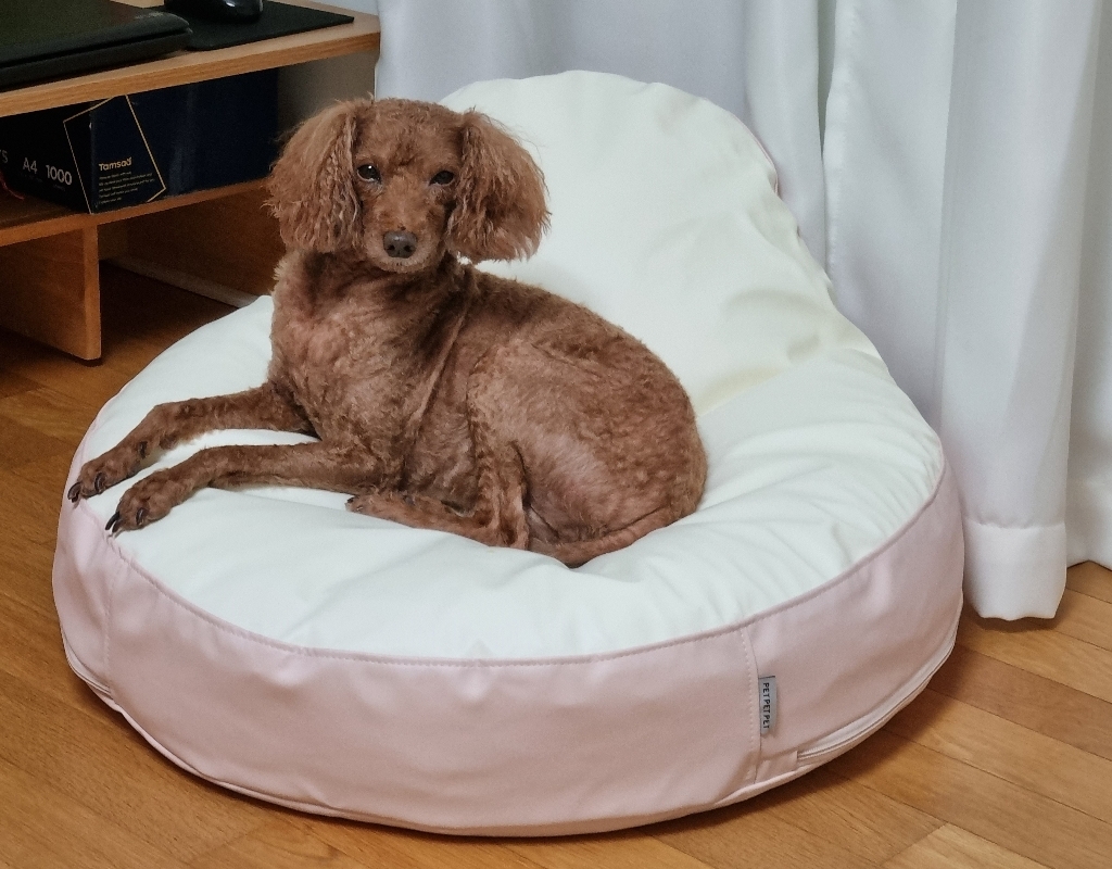 펫펫펫 반려동물 방석 빈백 쿠션