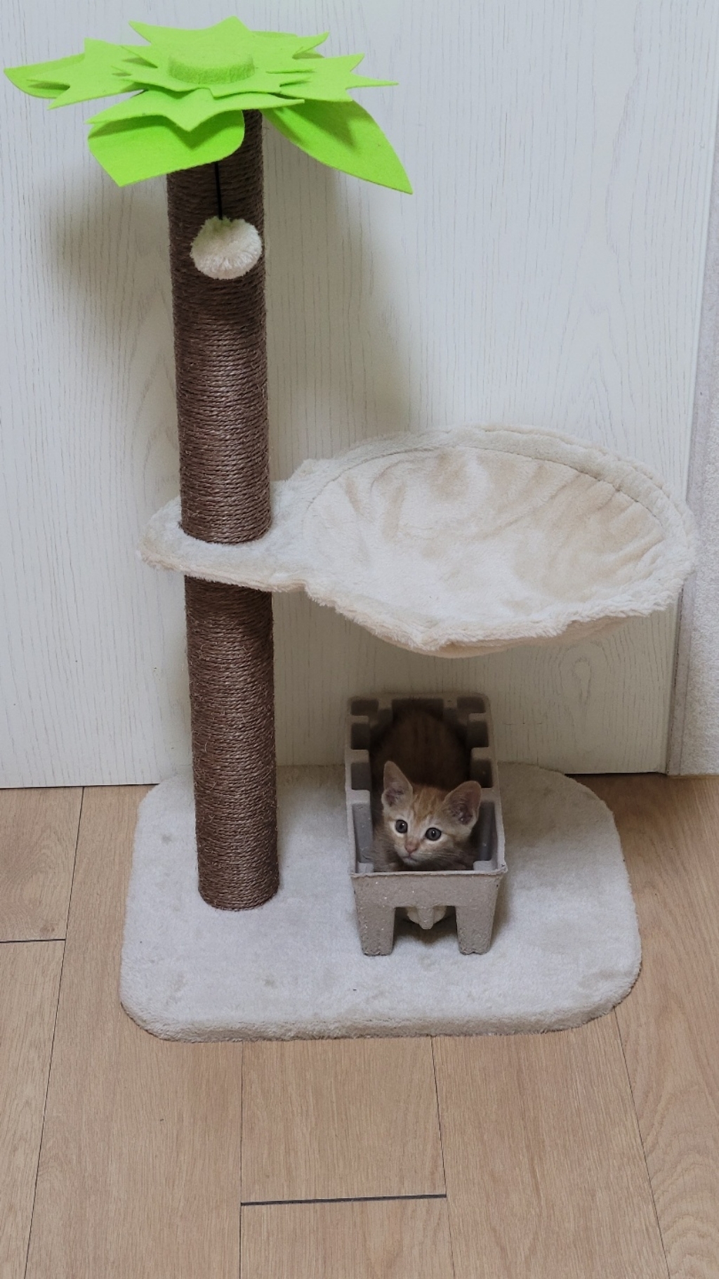 큐큐펫 고양이 야자수 수직 스크래쳐 해먹