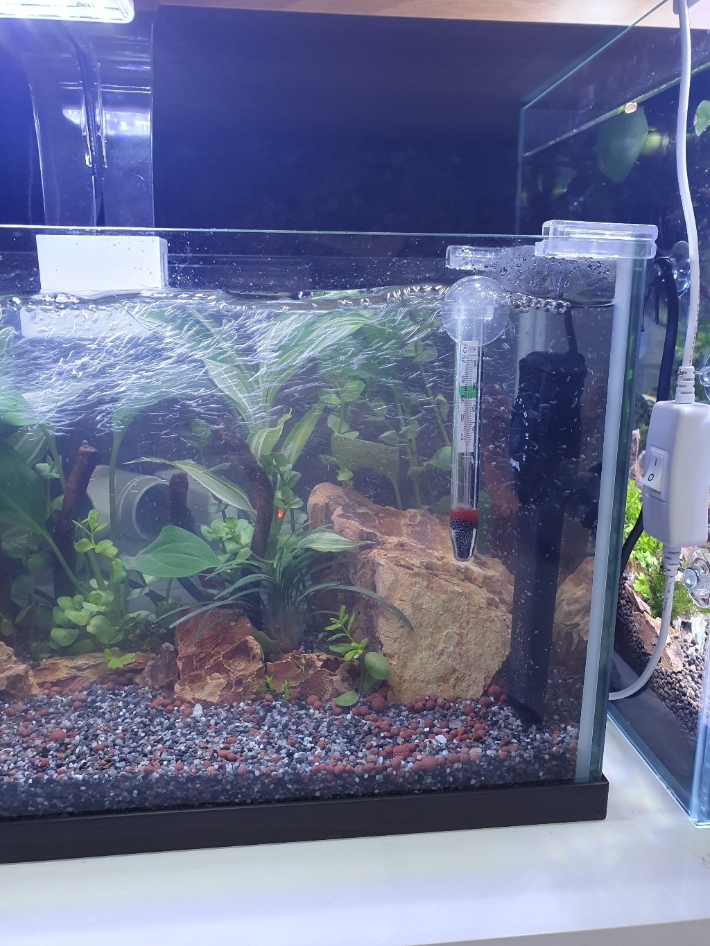 아쿠아이엘 수족관 울트라 자동 히터 100w