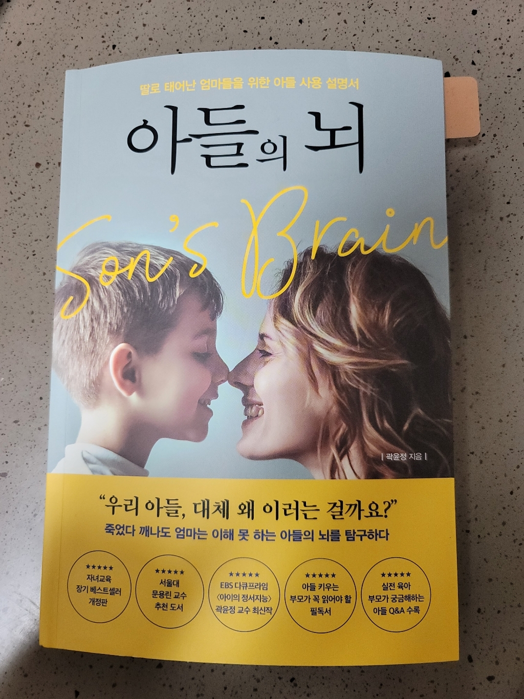 아들의 뇌:딸로 태어난 엄마들을 위한 아들 사용 설명서