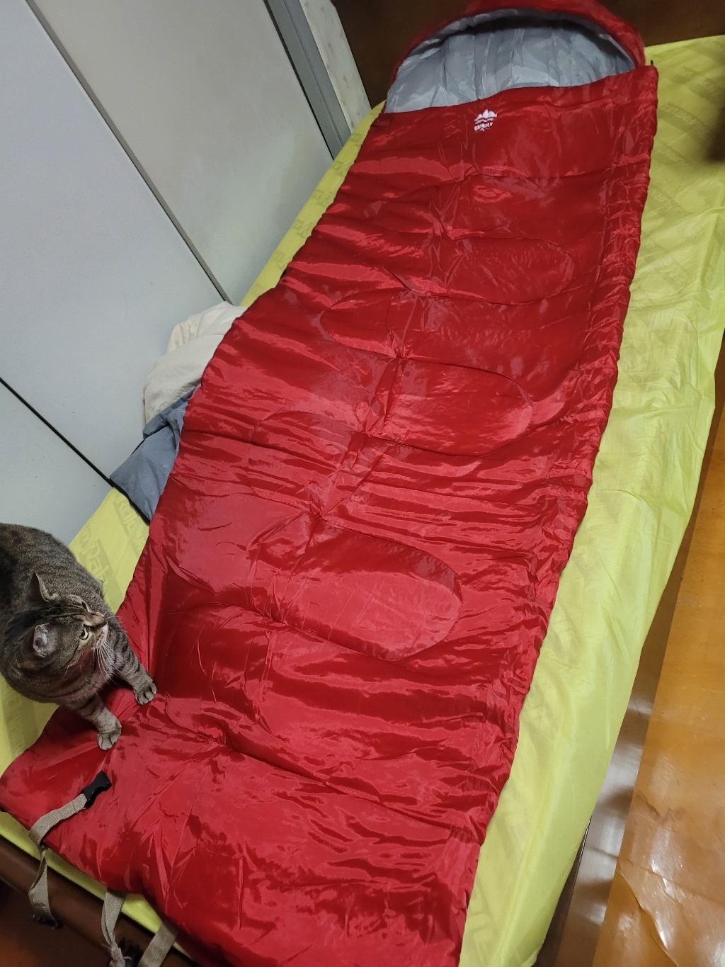 강블리 리브 캠핑 모던 침낭 머미 레드