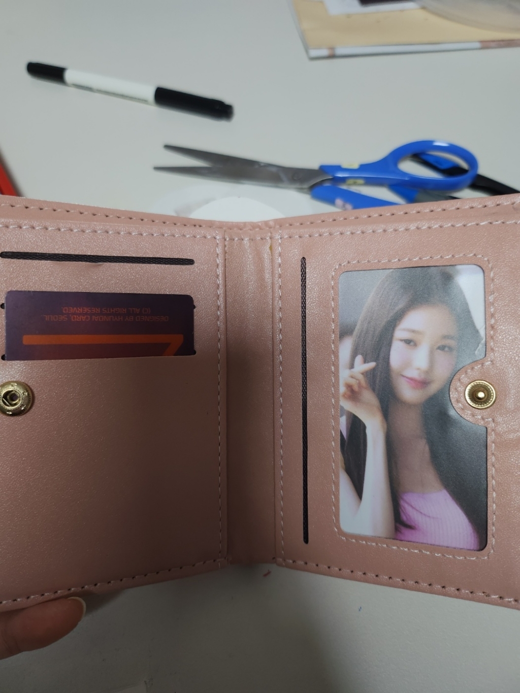 여성용 젤코바 패션 카드 동전 지갑