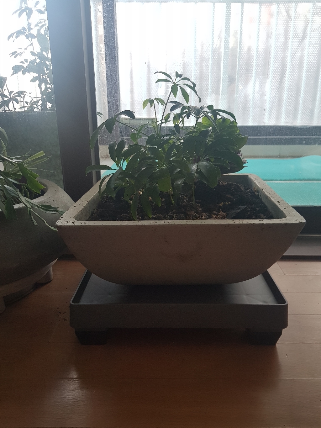 화분월드 뉴 고정식 정사각 화분 받침대 모던 베이직