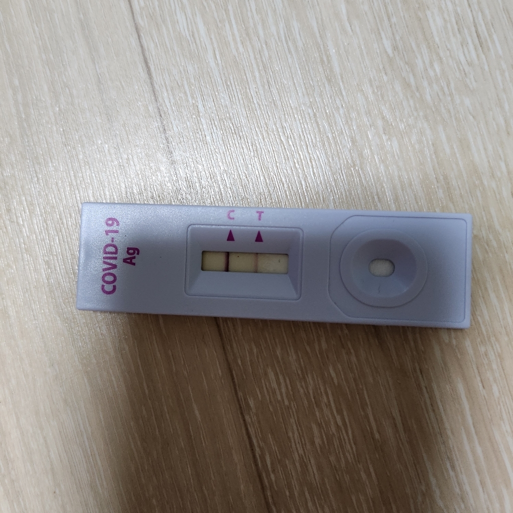 에스디바이오센서 STANDARD Q 코로나 19 항원 자가 검사