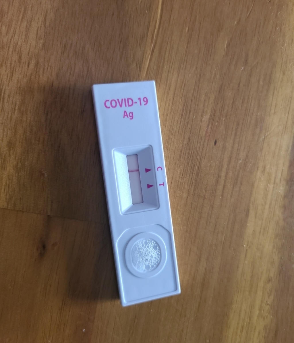 에스디바이오센서 STANDARD Q COVID 19 A Hoe Test 무색