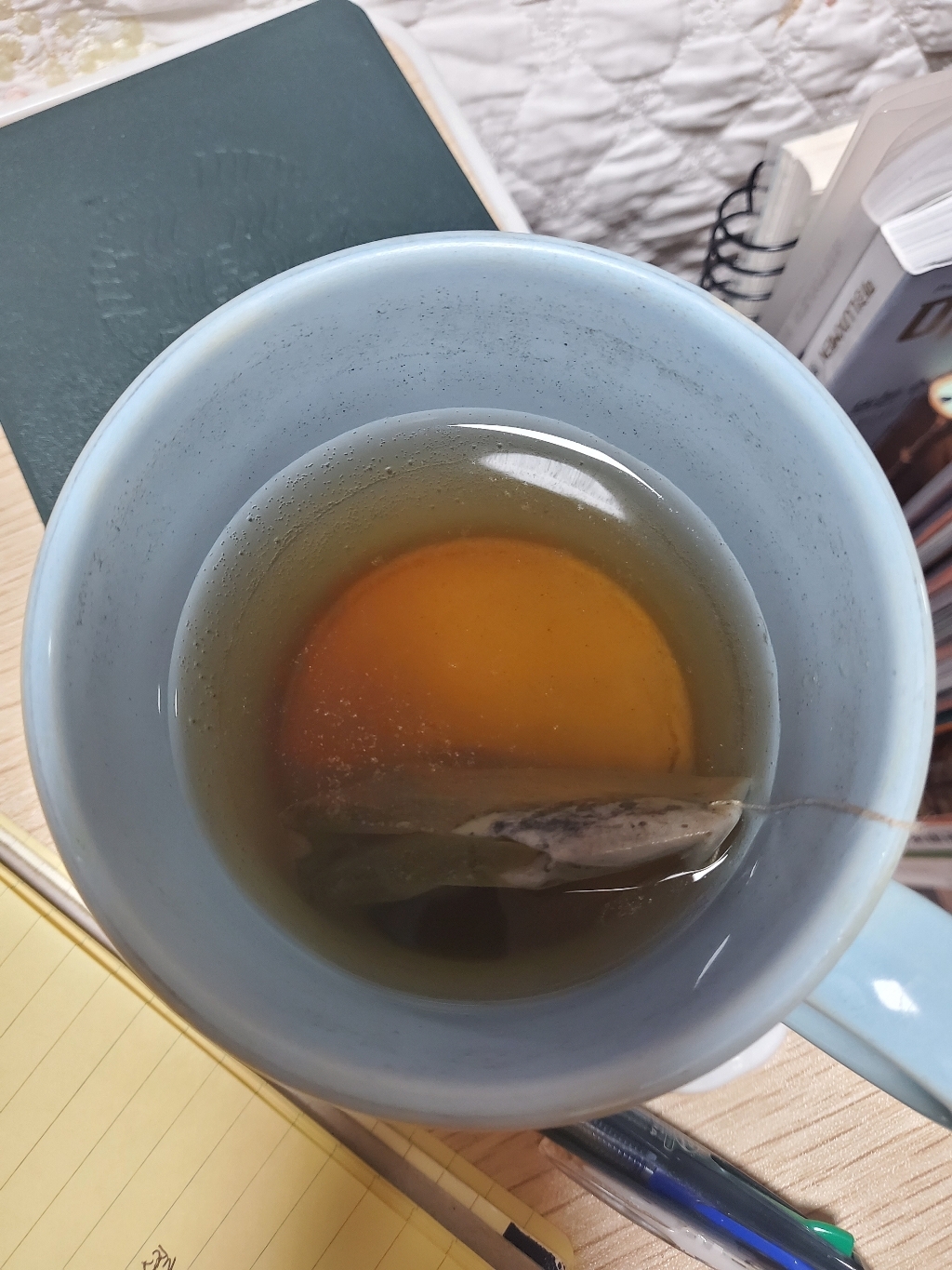 청년농원 저온가공 차가버섯차 삼각티백 입