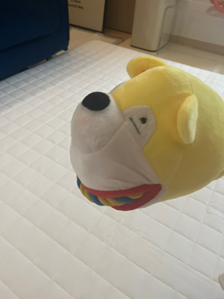 딩동펫 반려동물 터그 장난감 12cm x 24cm x 18cm, 시바옐로우, 1개, 12cm x24cm x18 cm