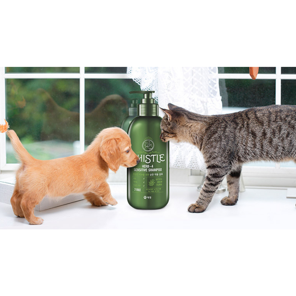 반려동물의 위생과 건강을 위한 완벽한 선택