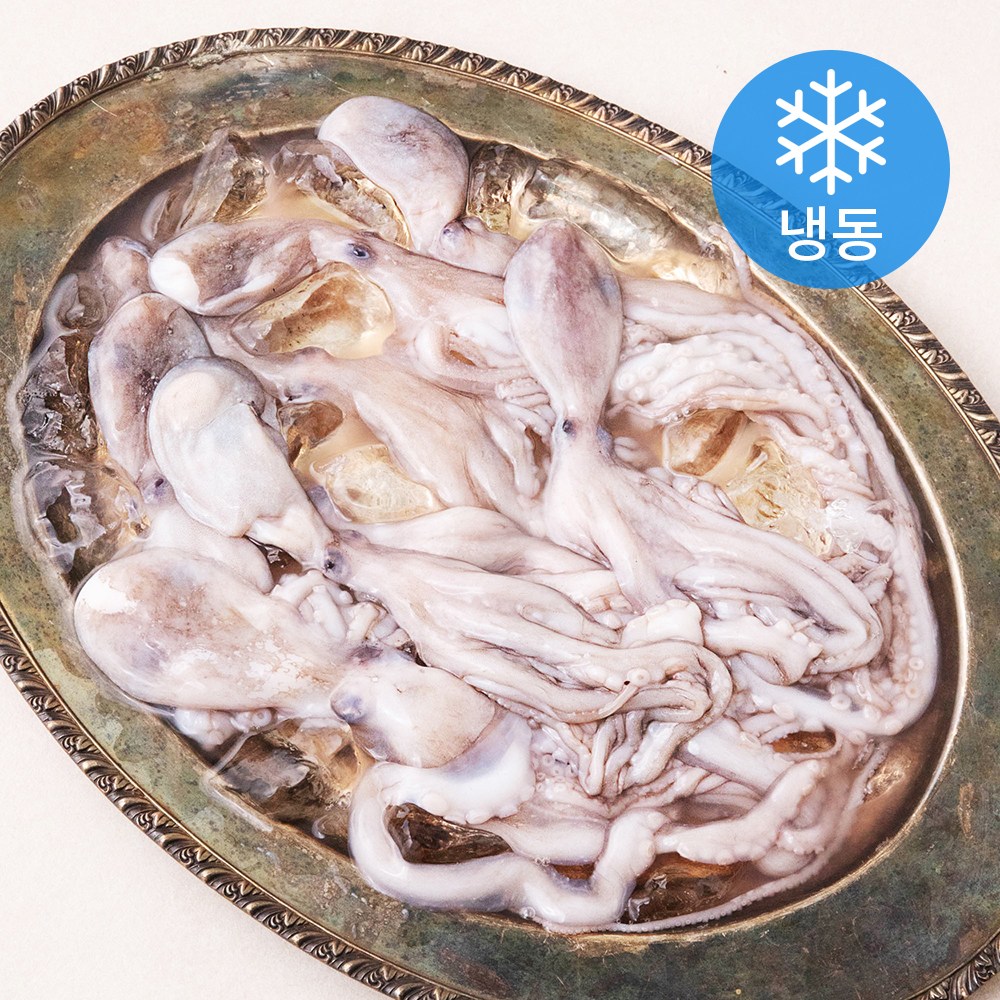 비비수산 살아있을때 얼린 신선한 낙지 (냉동), 3개, 850g(6미)