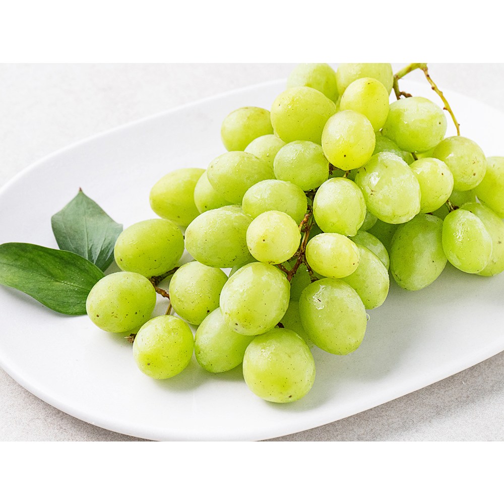 입안 가득 퍼지는 싱그러움, 만나다 미국산 씨없는 청포도!