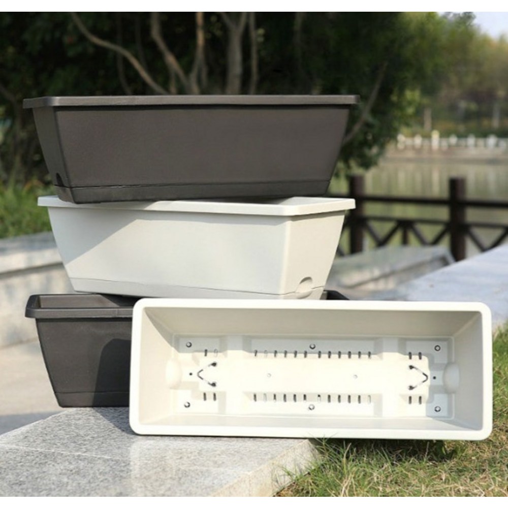 식물과 함께하는 행복한 생활