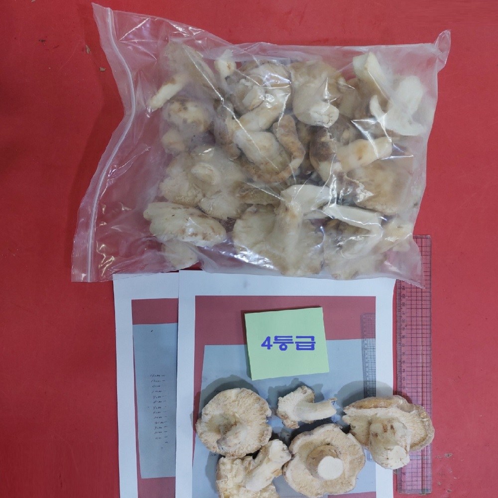 터키산 냉동 송이버섯, 합리적인 가격으로 유럽의 풍미를 즐기세요!