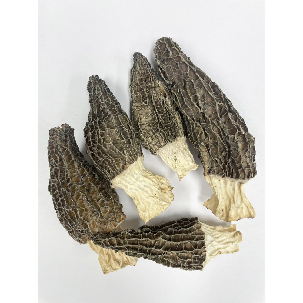 미식의 정점, 풍부한 풍미와 건강까지 생각하는 건조 모렐버섯