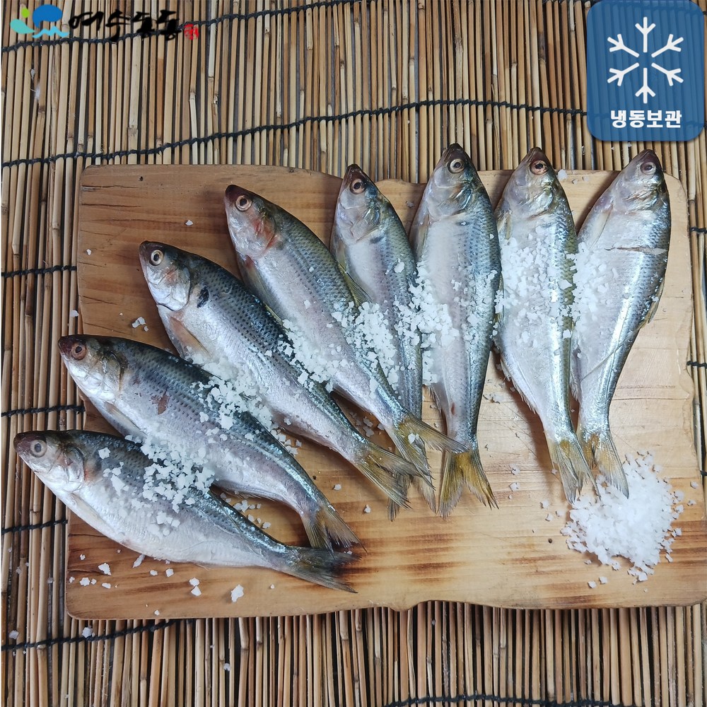 남해 여수 자연산 전어, 지금 바로 맛보세요!