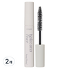 에뛰드 팡팡 헤어카라 픽서 10ml, 2개