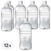 아이시스 생수 화이트캡 무라벨, 12개, 1L