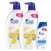 헤드앤숄더 시트러스 레몬 샴푸 시트러스향 800ml 2p + 딥클린 샴푸 프루티향 90ml, 1개, 1.69L