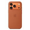 Apple 정품 아이폰 맥세이프 실리콘 케이스