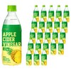 웅진 애사비 파인애플, 500ml, 24개