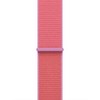 Apple 정품 애플워치 스포츠 루프, 그라이트 구아바, 40mm, Regular, 1개