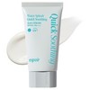 에스쁘아 워터 스플래쉬 선크림 퀵 수딩 SPF50+ PA++++, 1개, 50ml